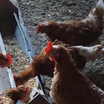Lägenhet Lichtenegger Kamp