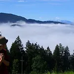 Lichtenegger * Kamp
