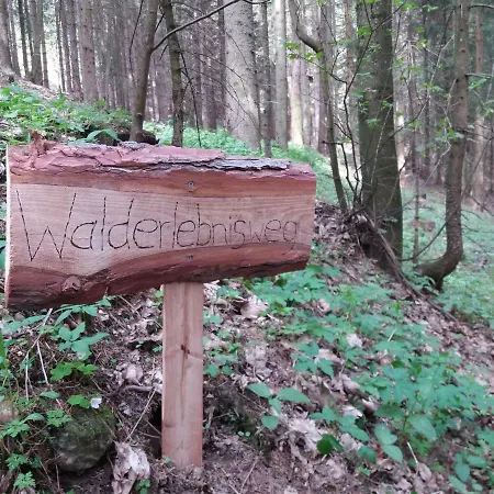 Apartamento Lichtenegger *