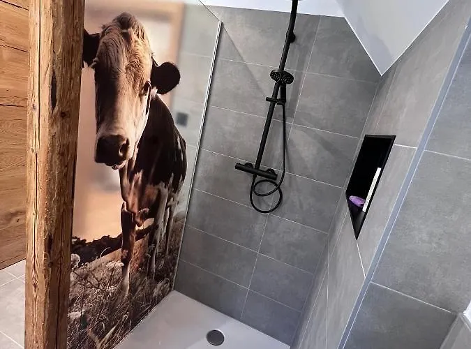 Lichtenegger 公寓 *