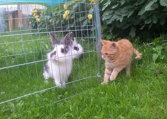 דירה Lichtenegger Kamp