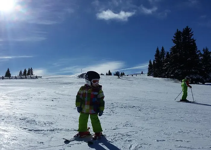 Lichtenegger 公寓 Kamp