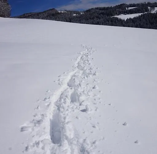 דירה Lichtenegger Kamp