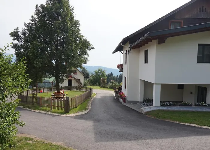 Daire Lichtenegger *