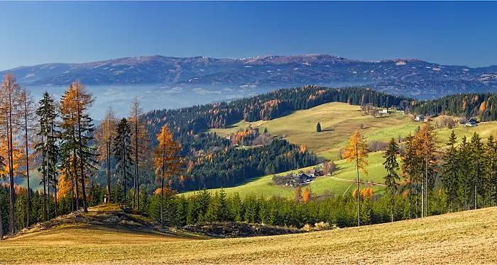 Lichtenegger דירה *