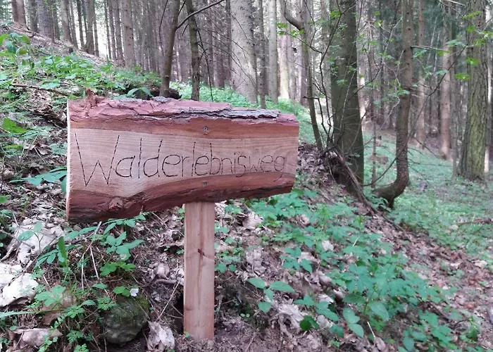 דירה Lichtenegger *